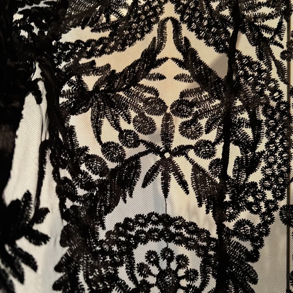 ZARA NWT Peplum Lacey Top Size M - Picture 3 of 5